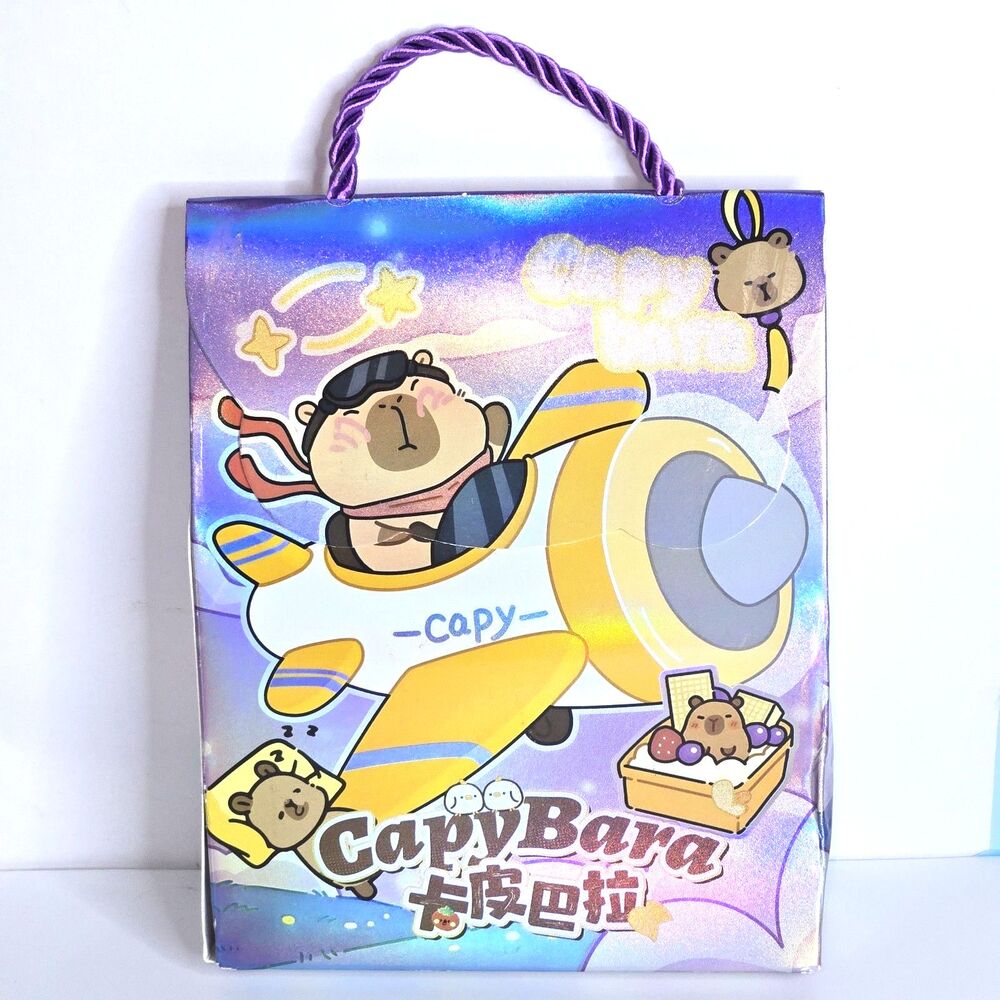 STATIONARY BLIND BOX Capybara Set of 5-7 Surprise Items Goodie Bag NEW SEALED